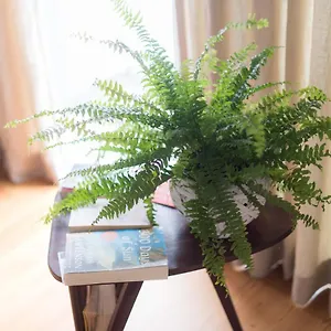Apartamento Santa Maria By Heart Of, Funchal (Madeira)